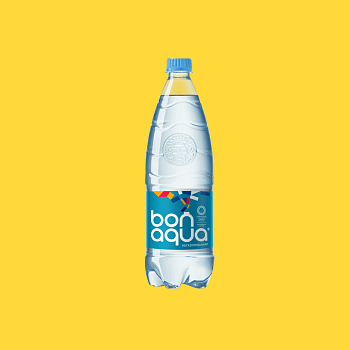 Bonaqua негазированная (0,5л)